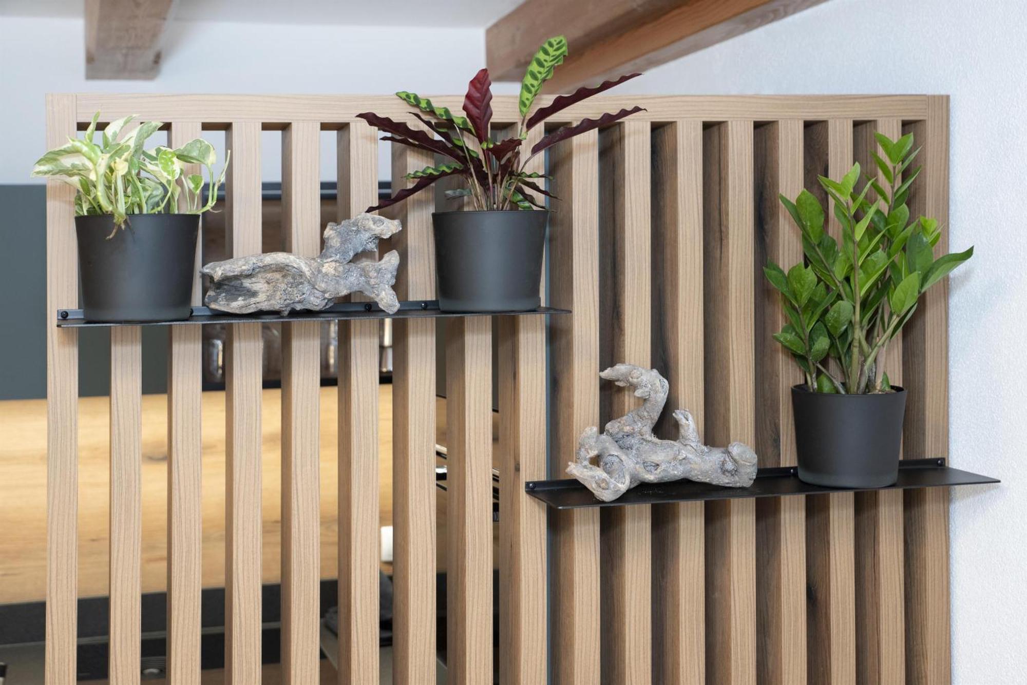 Natural Deluxe Apartments ألباخ المظهر الخارجي الصورة